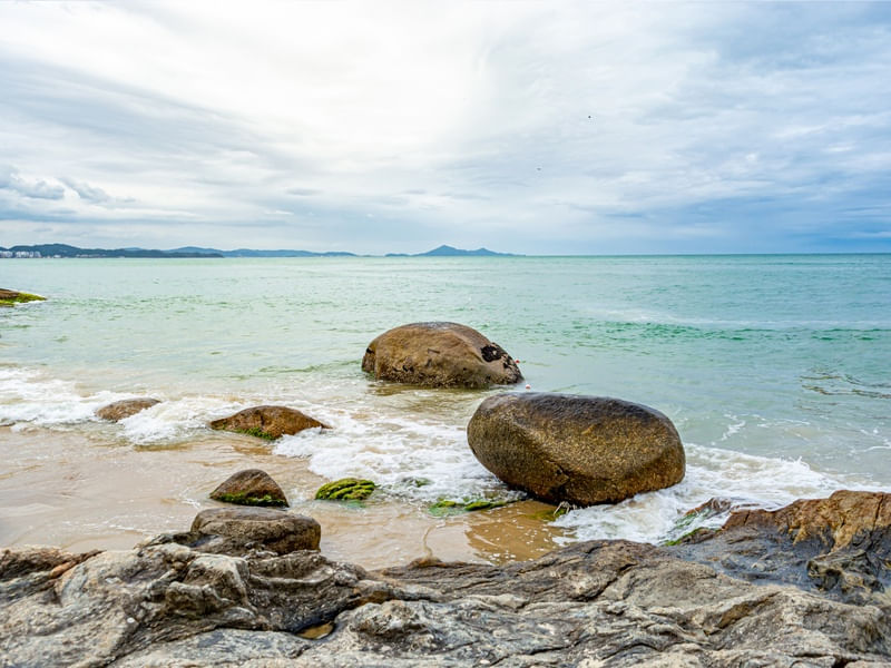 PEDRAS EM LARANJEIRAS