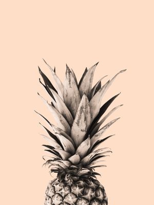 ABACAXI PINEAPPLE 04