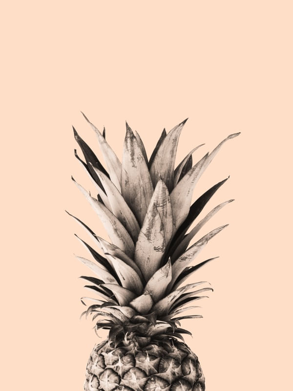 ABACAXI PINEAPPLE 04