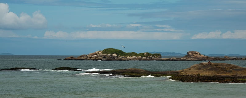 PEQUENOS PARAÍSOS XIX