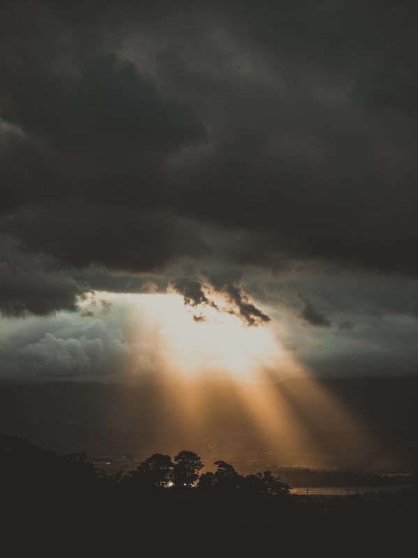 LIGHT IN THE DARK