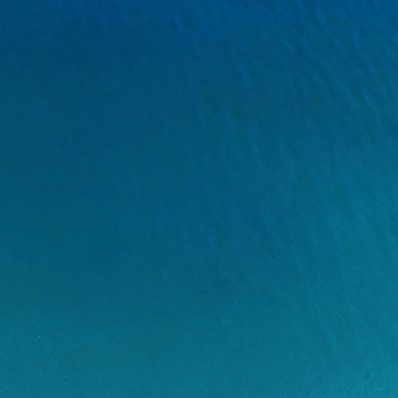 AZUL PROFUNDO - POLIPTICO D