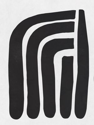ORGANIC FORM II