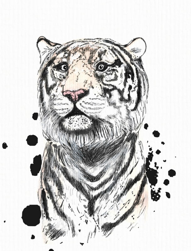 TIGRE EM AQUARELA