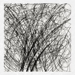 FLORES ABSTRATAS 01J2