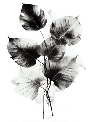 FOLHAS BY AI