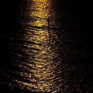 HUMANUS NA LUZ II