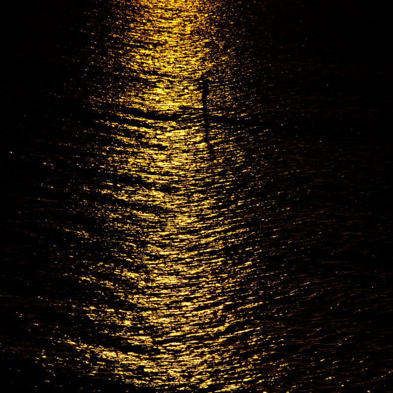 HUMANUS NA LUZ II