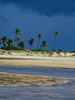 NORDESTE LUZ VIII