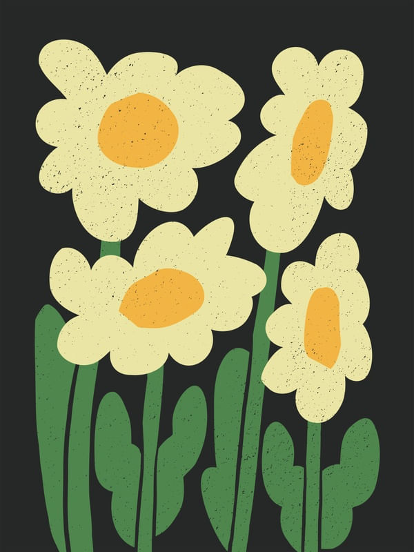 FLORES DE MATISSE