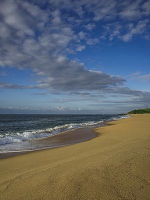 PARAÍSOS NECESSÁRIOS III