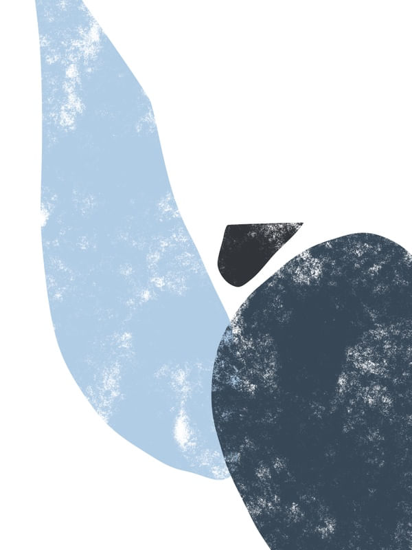 ABSTRATO DS ORGANIC 00