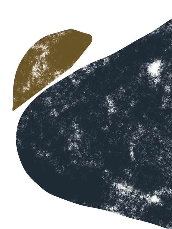 ABSTRATO DS ORGANIC 01