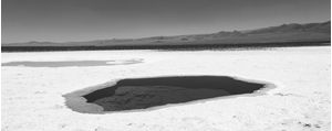 DESERT TREASURES 16