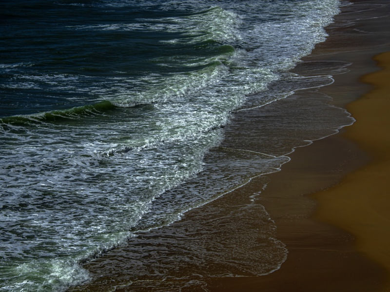 ONDAS VII