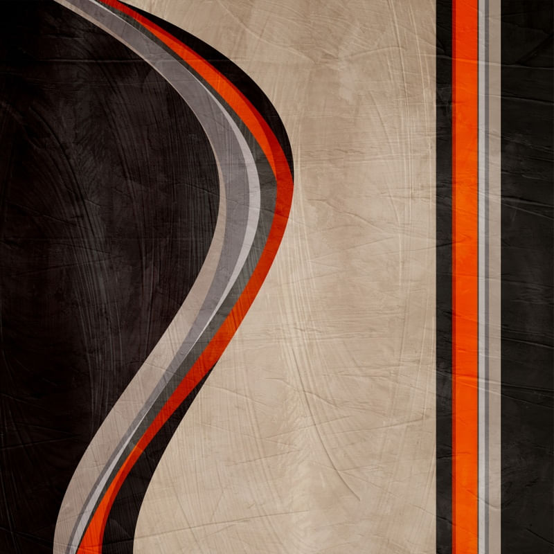 ABSTRATO ORGÂNICO - 391B2-Q