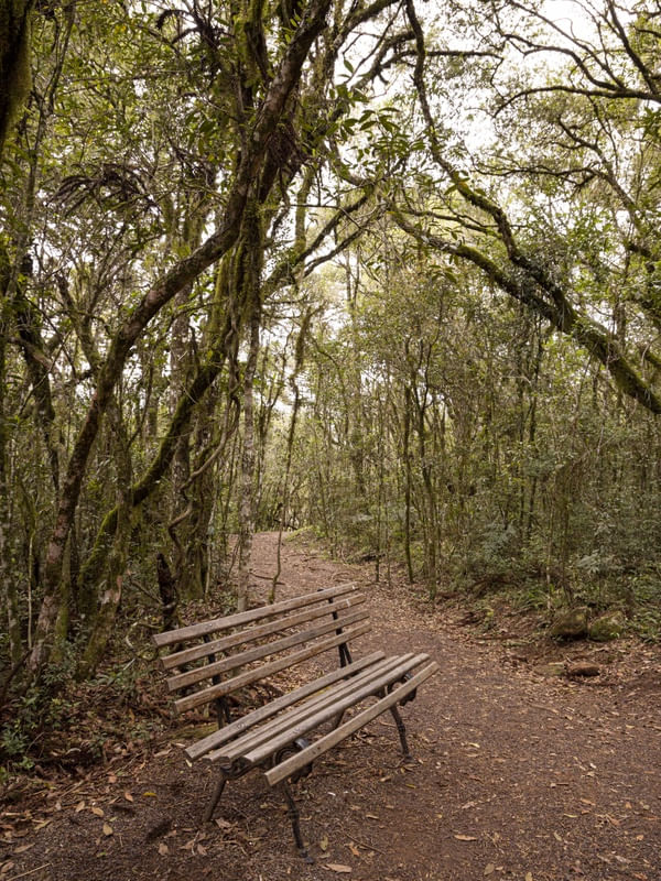 PARA SENTAR E OBSERVAR - VERTICAL