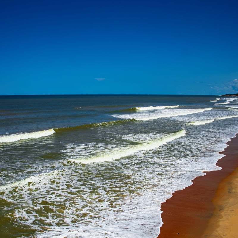 DINÂMICA NATURAL III