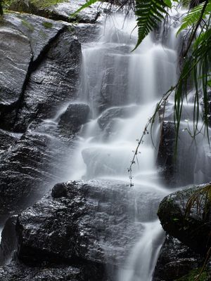 CAMINHO DAS ÀGUAS 02
