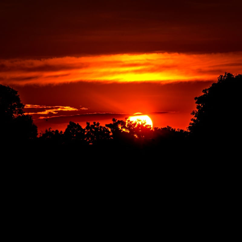 MAGIAS SOLARES VI