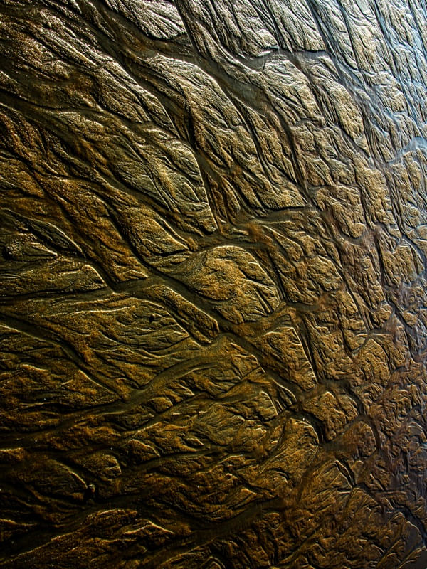 ÁRVORES DE AREIAS XII