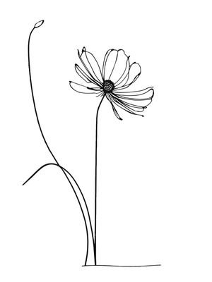 FLOR 001