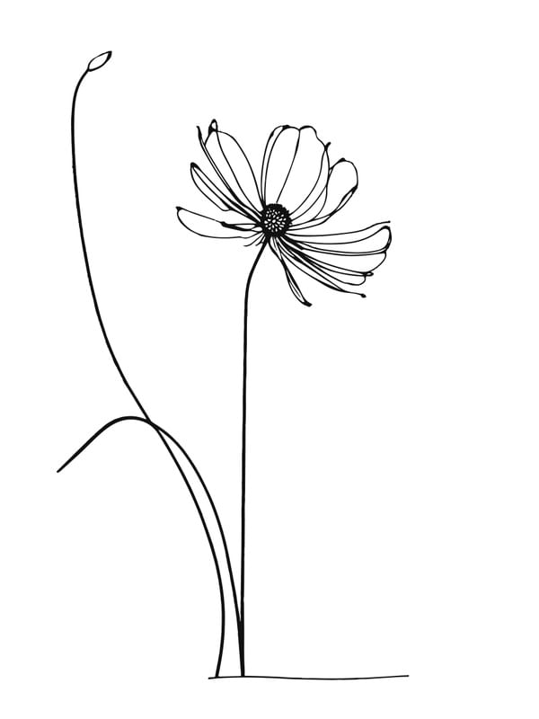 FLOR 001