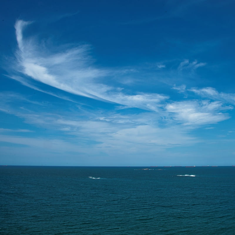 O CÉU DE VITÓRIA II