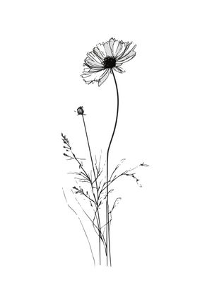 FLOR 002