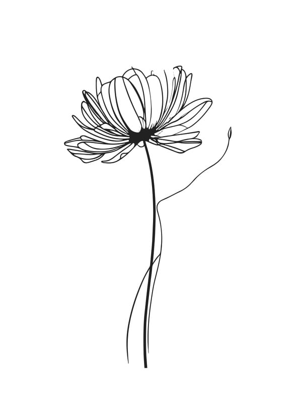 FLOR 003