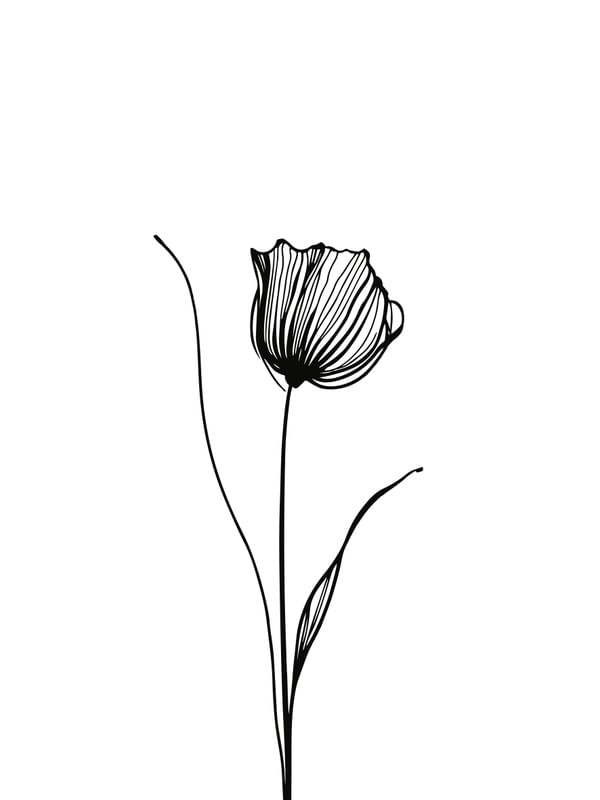 FLOR 004
