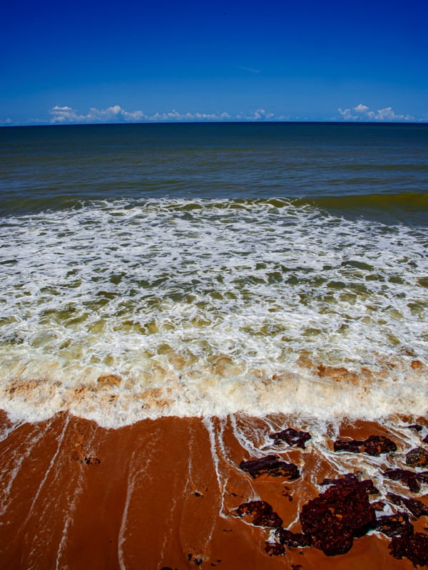 DINÂMICA NATURAL VI