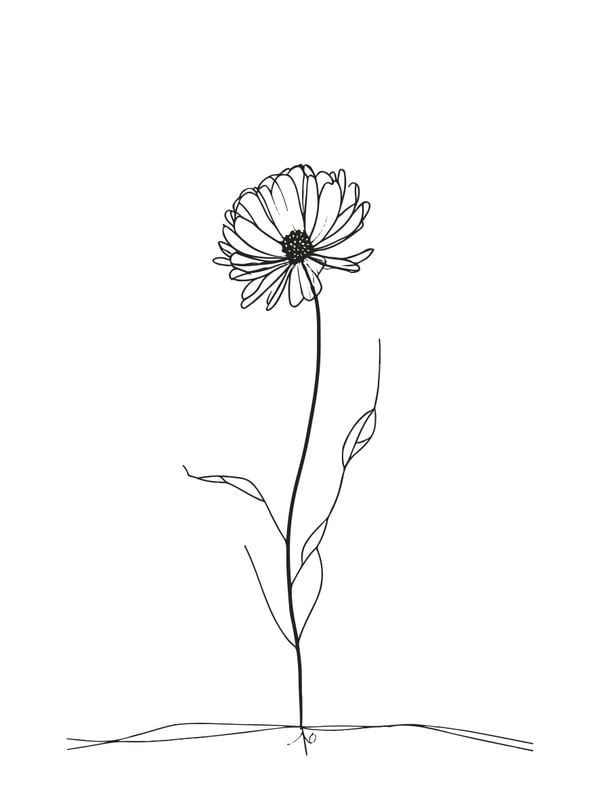 DARTORA