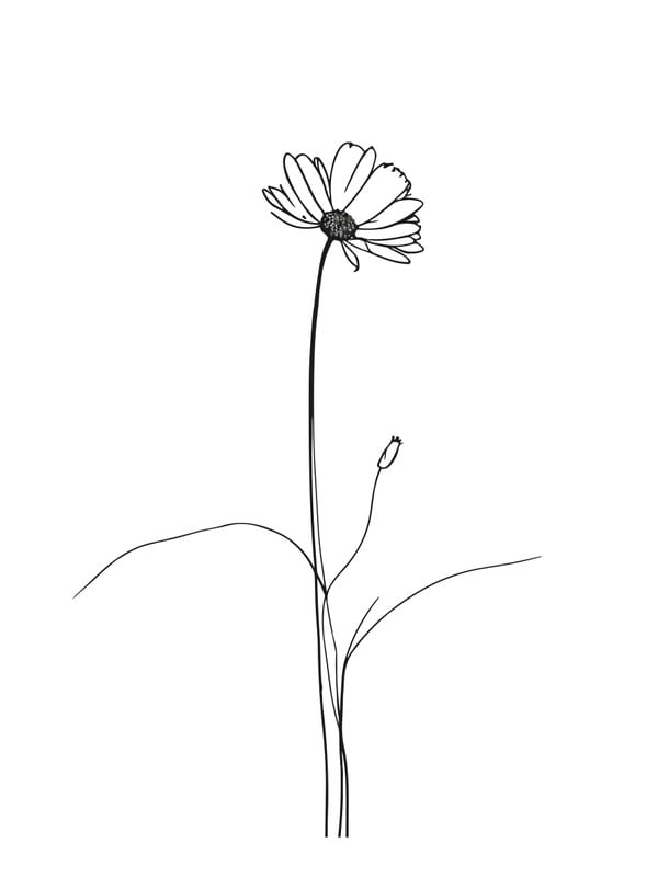 FLOR 007