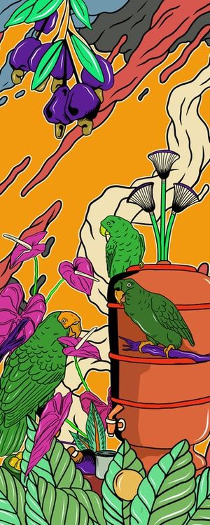 PLUMAS E CORES