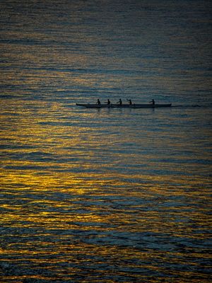 POESIAS EM MOVIMENTO II