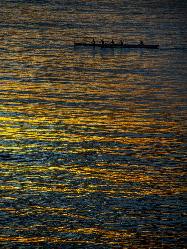 POESIAS EM MOVIMENTO III