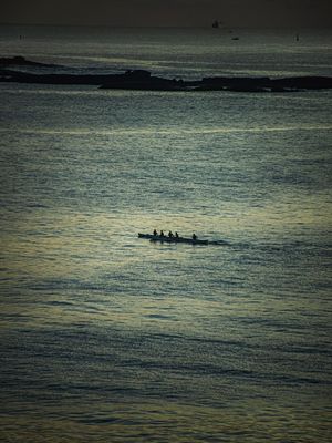 POESIAS EM MOVIMENTO XIII
