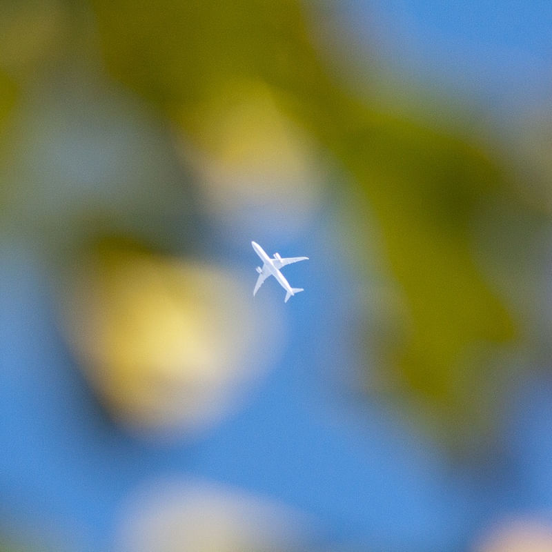 FLYING N01