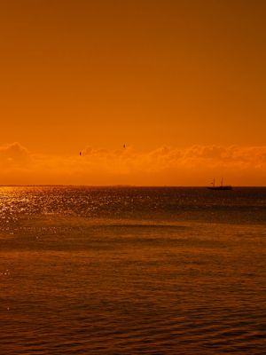 SAILING INTO THE SUNSET