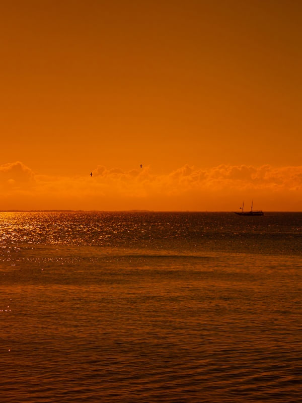 SAILING INTO THE SUNSET