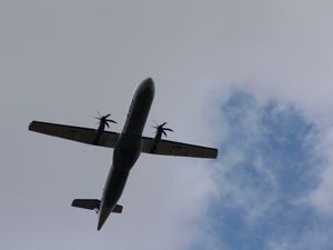 FLYING N04