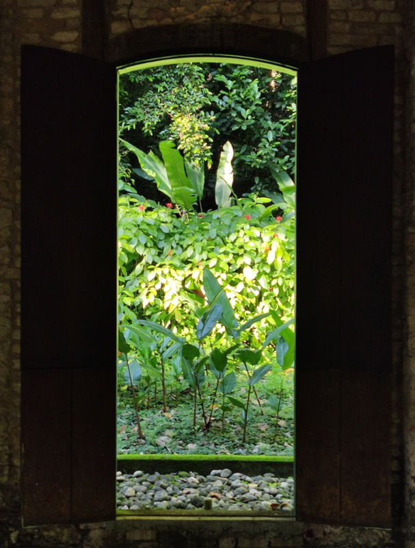 JARDIM BOTÂNICO RJ
