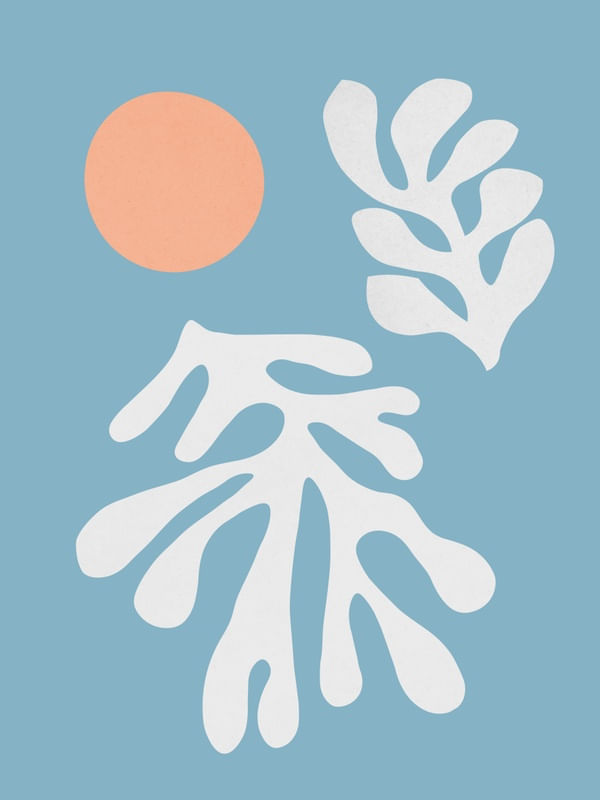 FLORAL ORGÂNICO 14