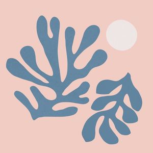 FLORAL ORGÂNICO 16