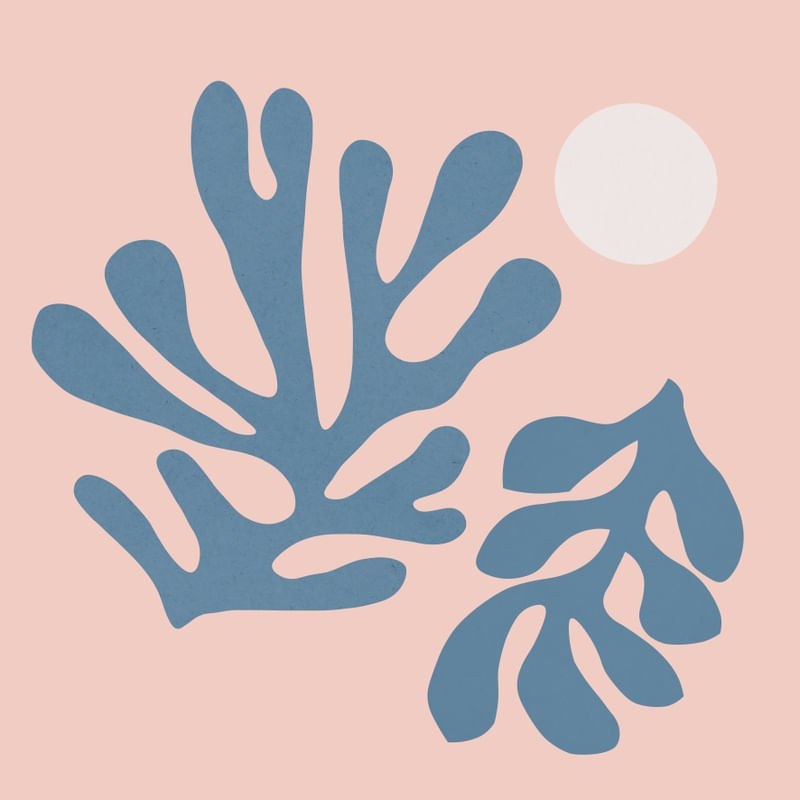 FLORAL ORGÂNICO 16