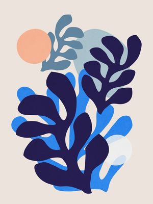 FLORAL ORGÂNICO 17