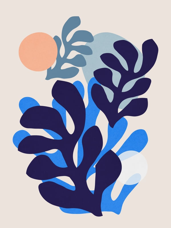FLORAL ORGÂNICO 17