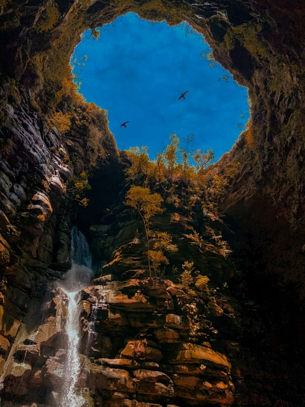 NATURE AND ITS CHARMS