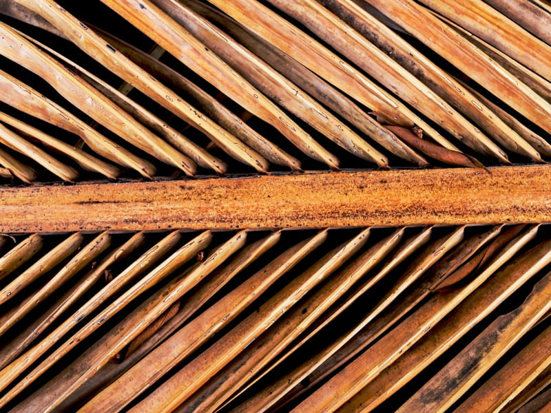 FORMAS E TEXTURAS